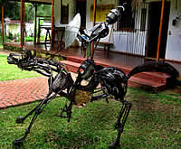 Metal master by John Gusinyu