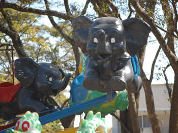 These are the only elephants you should ride