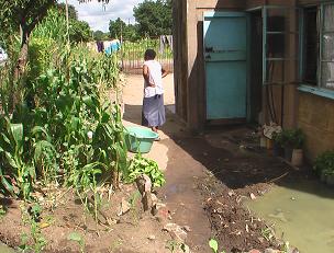 Human excrement is flowing out of the residents' toilets and into their back yards