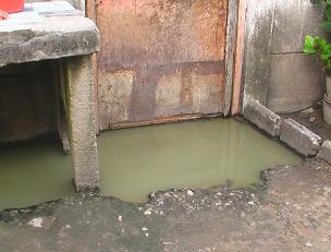 Stagnant pools of sewage form outside homes