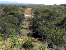 ZESA damage to Umfurudzi Safari Area