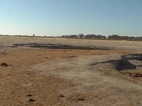 HWANGE NATIONAL PARK - November 2005