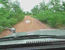 Good roads in Hwange National Park