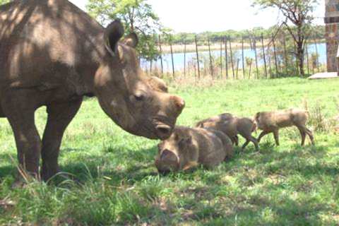 Tatenda and his new friends